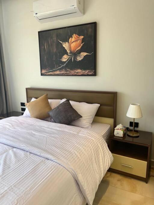 Majestic Comfort Elite In Dokki1 * Cairo